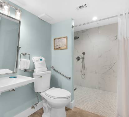 Bathroom with Handicap Friendly Shower