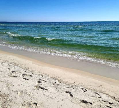 8 - Shoreline (1)