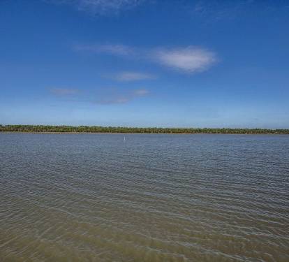 Photo #9
