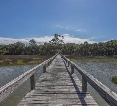 Photo #16