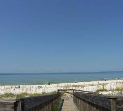 Photo #28