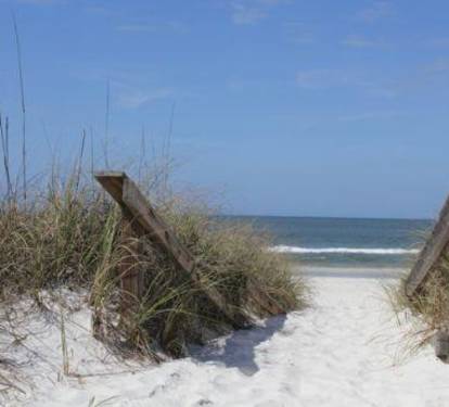 Photo #51