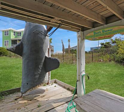 Photo #51