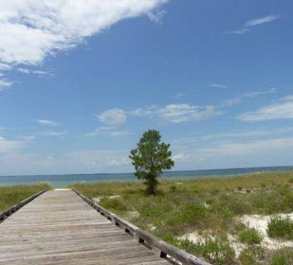 Photo #93