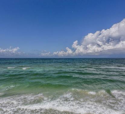 Photo #100