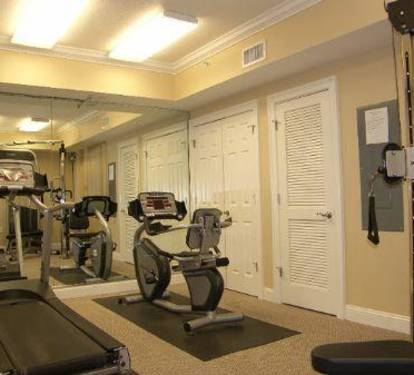 Photo #87