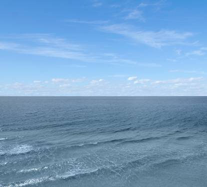 Photo #76