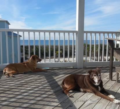 Photo #33