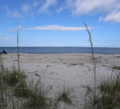 Photo #15