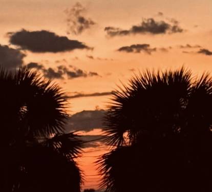 Photo #99