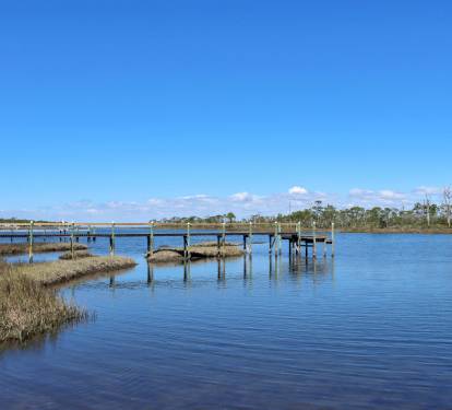 Photo #63