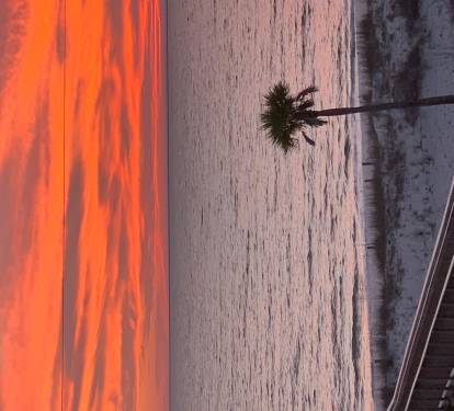 Photo #10