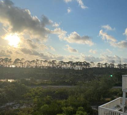 Photo #28