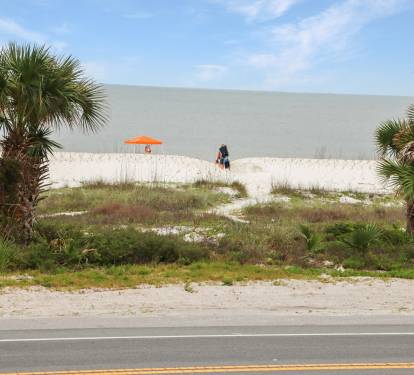 Photo #10
