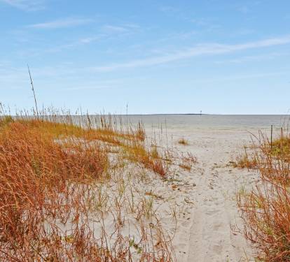 Photo #15
