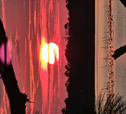 Photo #15