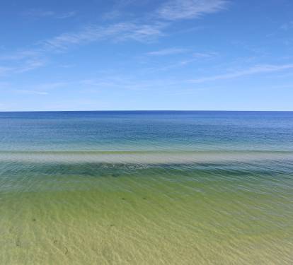 Photo #63
