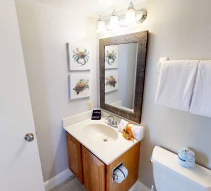 Guest Bathroom