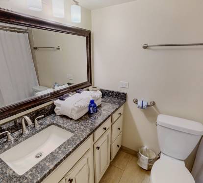 Guest Bathroom 2