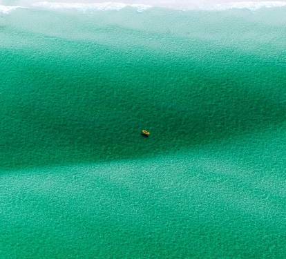 Photo #99
