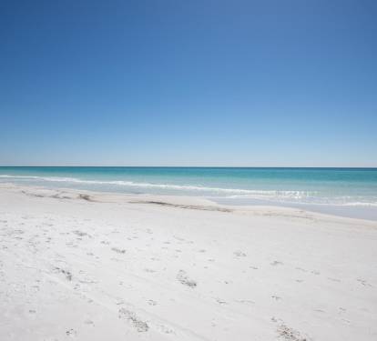 Photo #58