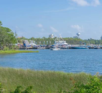 Full service marina offers boat rentals, wave runners, and fishing equipment. 