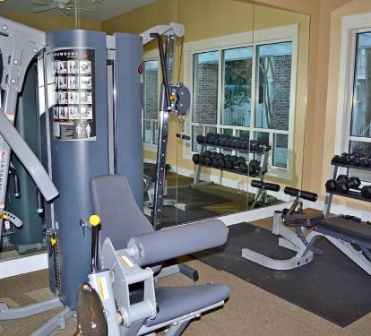 This gym even has free weights.