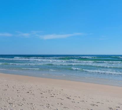 Photo #15