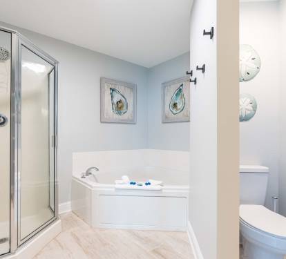 Lighthouse 1118 Primary Bath with Soaking Tub and Separate Step-in Shower