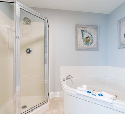 Lighthouse 1118 Primary Bath with Soaking Tub and Separate Step-in Shower