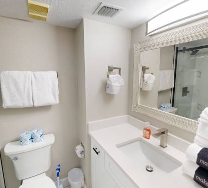 Guest Bathroom 1
