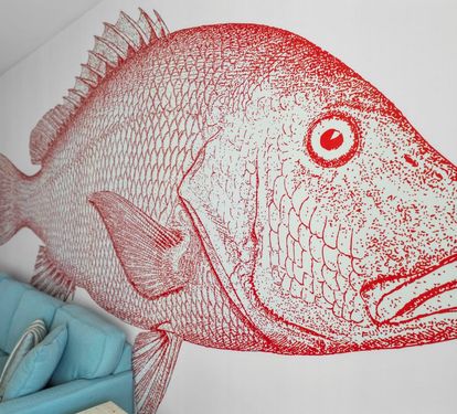Caribe Penthouse C1 Happy Snapper