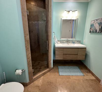 Ensuite, Main Level Guest Bathroom