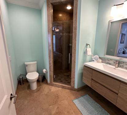 Ensuite, Main Level Guest Bathroom