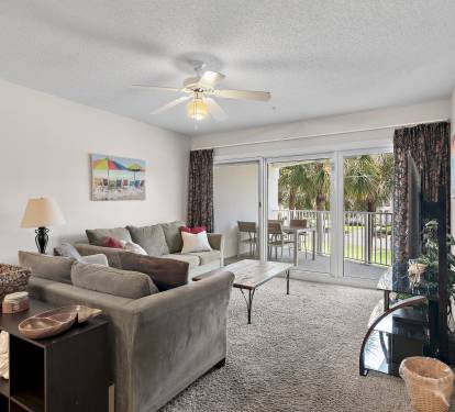 Photo #16