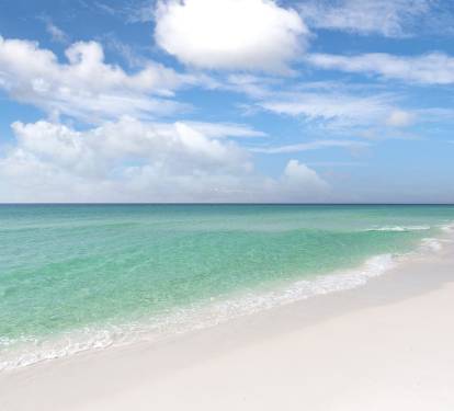 Photo #12