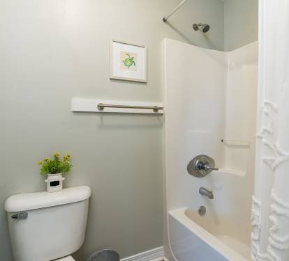 Blue Lagoon Primary Bathroom with Tub Shower Combo