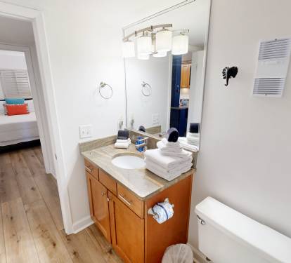 Guest Bathroom