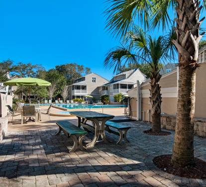 Hidden Dunes Cottage Pool with Palm Trees