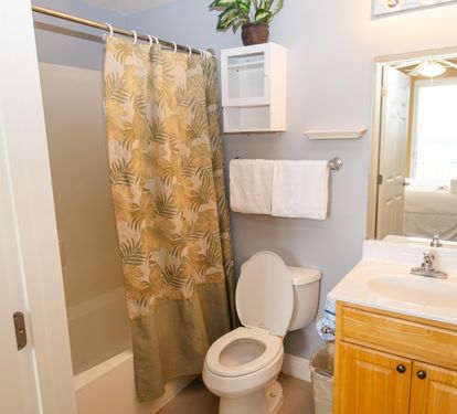 Guest Bedroom 1