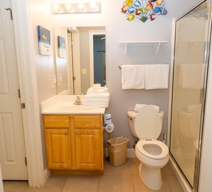 Guest Bathroom 2