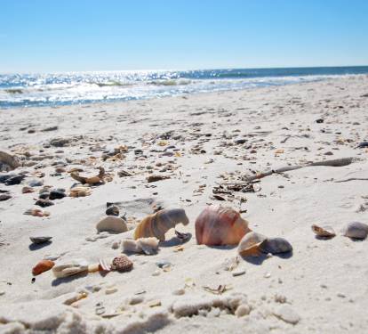 2 - Beach Front (3)