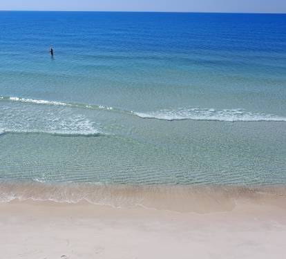 Photo #10