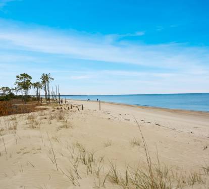 Photo #10