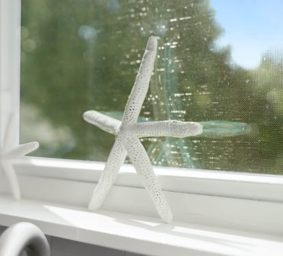 Photo #19