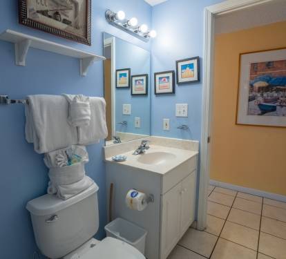 Guest bathroom.