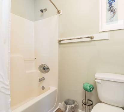Wanderlust Primary Bathroom with Tub Shower Combo