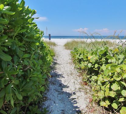 Photo #45