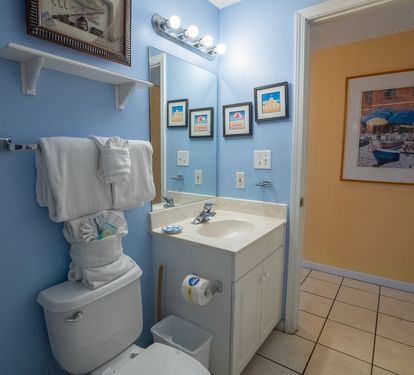 Guest bathroom.