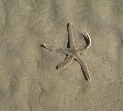 Photo #57